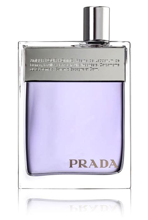 prada amber pour homme preisvergleich|prada amber sephora.